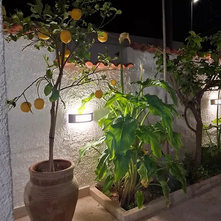 Toluammare Sicily 度假居 圣玛丽亚德尔法加洛