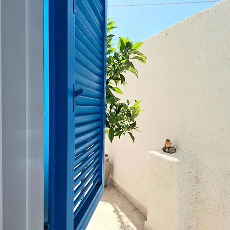 Toluammare Sicily 度假居 圣玛丽亚德尔法加洛
